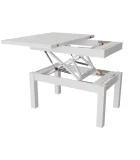 Transformer Table Butterfly order