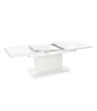 COFFEE TABLE BUSETTI, TABLE TOP - WHITE MATTE, FRAME - WHITE MATTE order