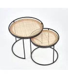 MANADO COFFEE TABLES, SET OF 2 PCS. BLACK / NATURAL order