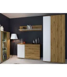 Chest of drawers 1D/3SH Gerda order