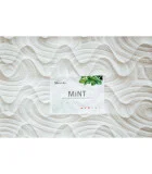 Mattress Shine Mint order