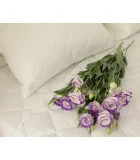 Pillow Arcadian idyll order