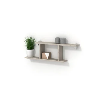 Shelf №1