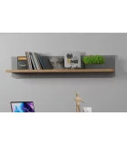 Shelf SURFINIO SFNB01 order