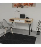 Desk Neman HANS order