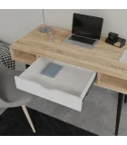 Desk Neman HANS order