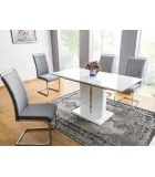 Folding dining table Dallas order