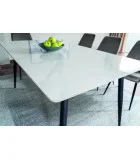 Dining table RION order